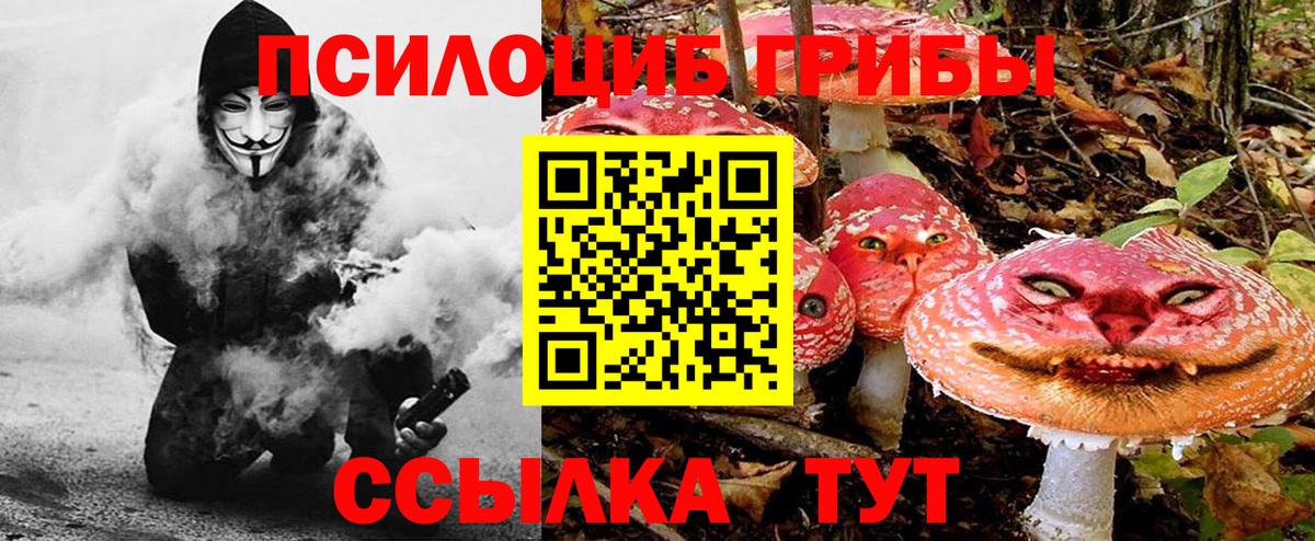 где купить наркоту  Псилоцибиновые грибы GOLDEN TEACHER  Вход с VPN  Мелеуз 