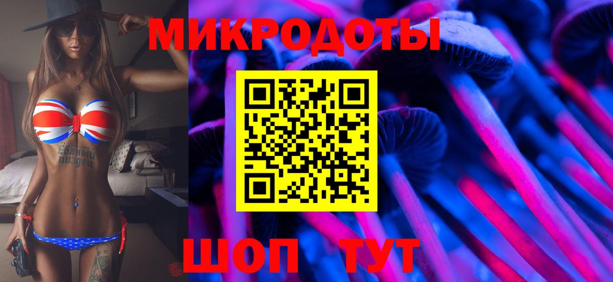 Галлюциногенные грибы Psilocybe Мелеуз